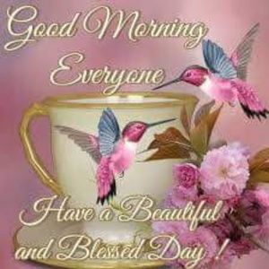 Meet your Posher, Felecia